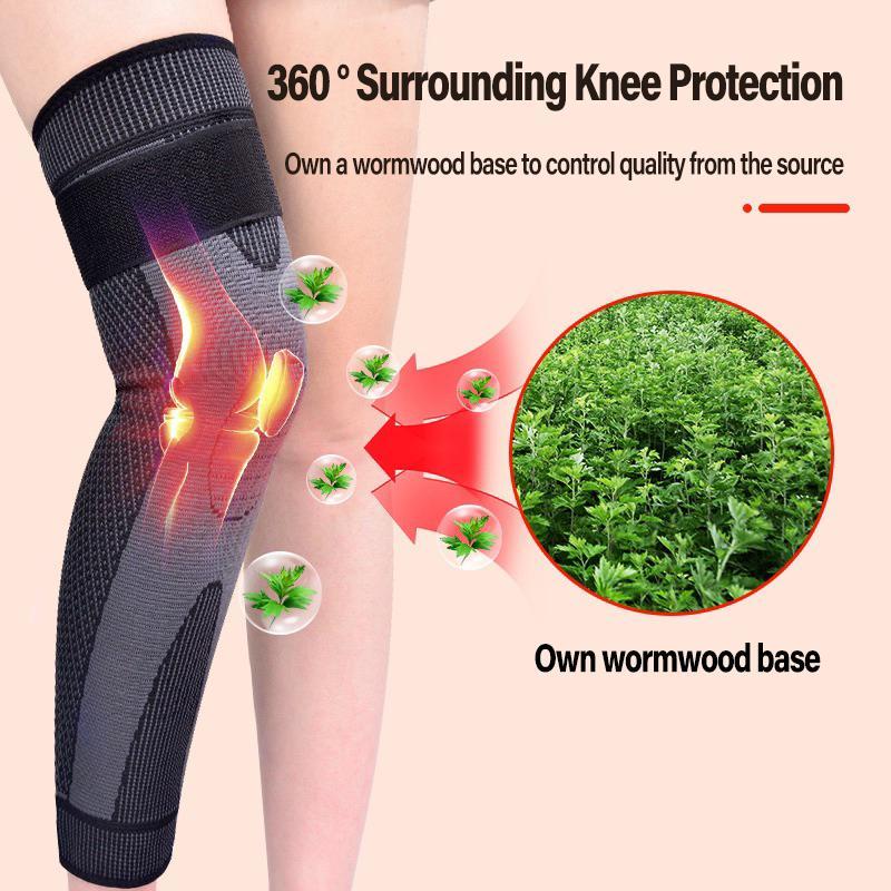 Your Knees Deserve Better — Give Them Mugwort Magic.