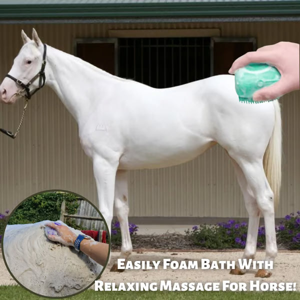 QIAWI™Foamy Scalp Brush — 2-in-1 Shampoo & Massage Tool for Healthier, Softer Hair